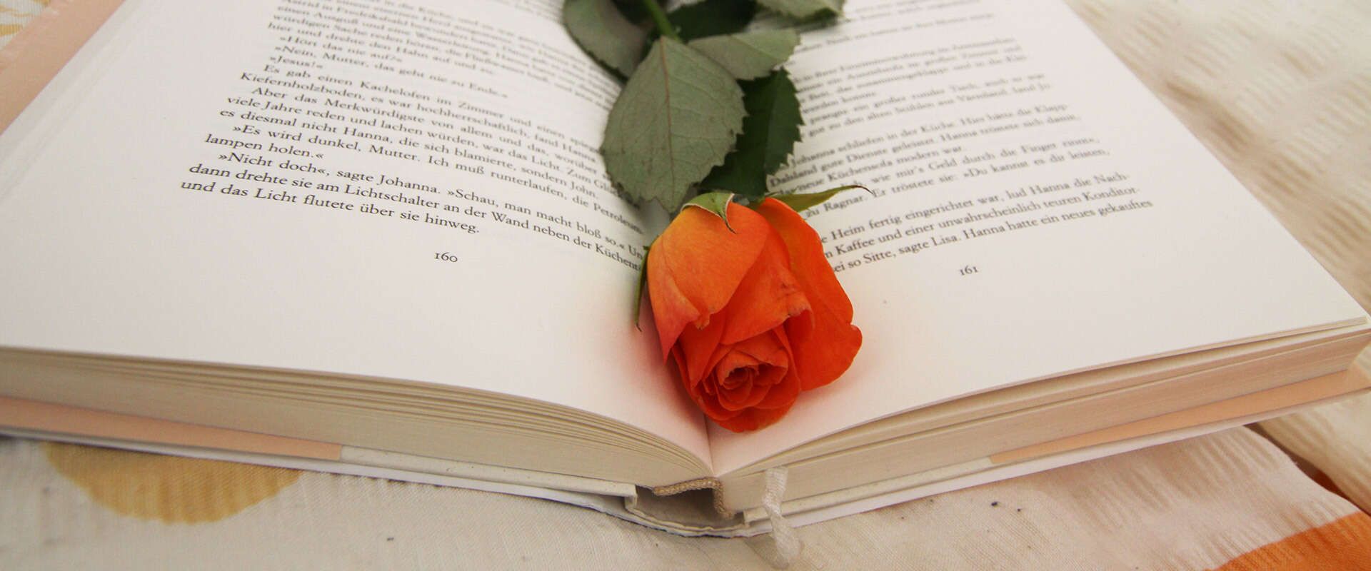 Buch mit einer Rose